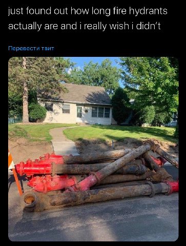 just found out how long fire hydrants actually are andi really wish i didn’t Перевести твит