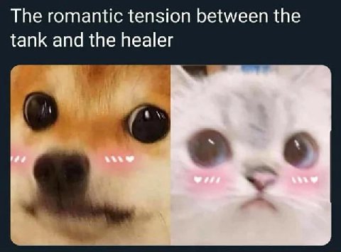 The romantic tension between the tank and the healer с