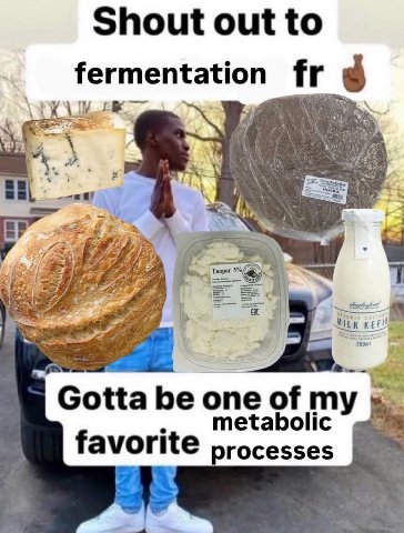 Shout out to fermentation 4 Творог 5% Gotta be one of metabolic favorite processes