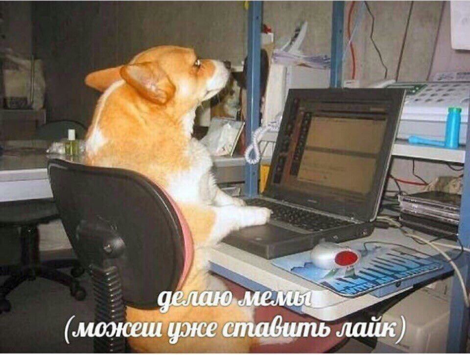 1 he делаю. (моэкеш уже ставить лайк)