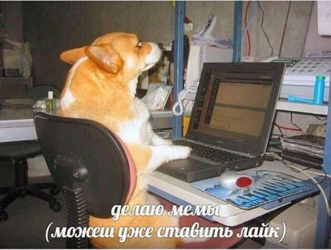 1 he делаю. (моэкеш уже ставить лайк)