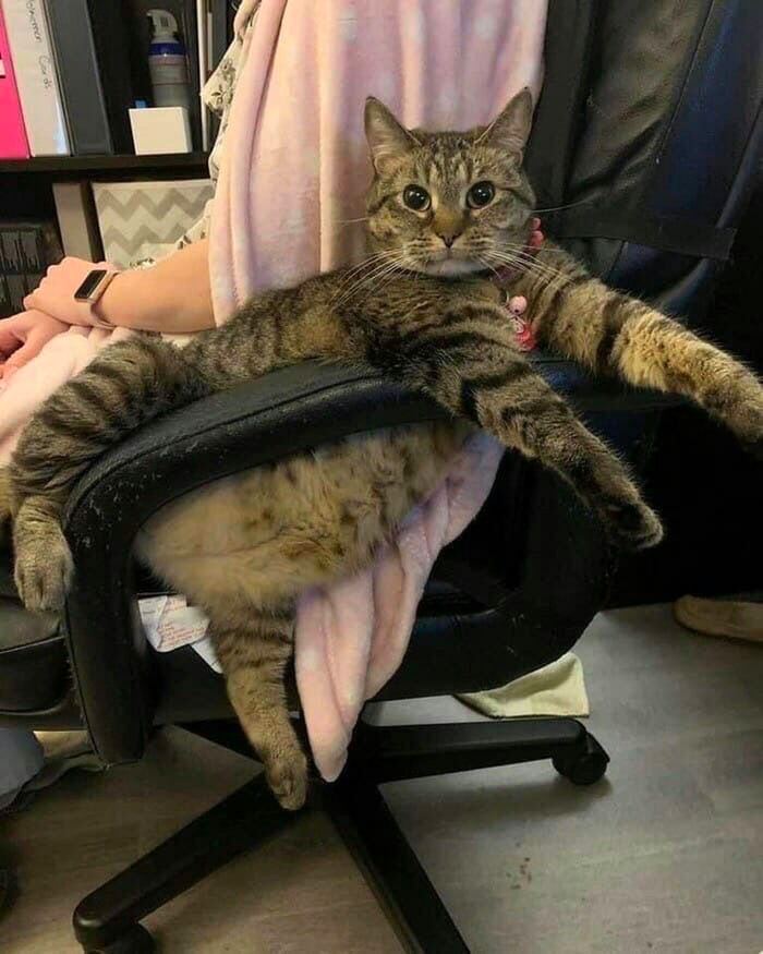 4 2 27 у у