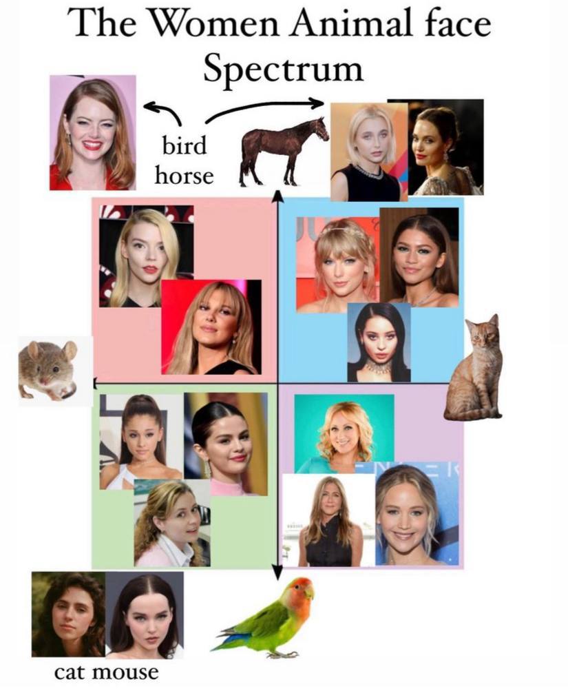 wtf
