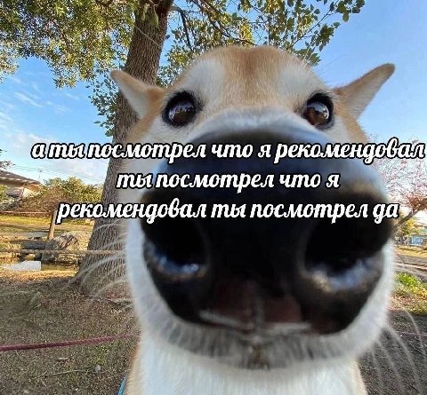 посмотрел что я рекомендовал реномендовал ты посмотрел a
