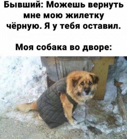 Бывший: Можешь вернуть мне мою жилетку чёрную. Я у тебя оставил. Моя собака во дворе: 2