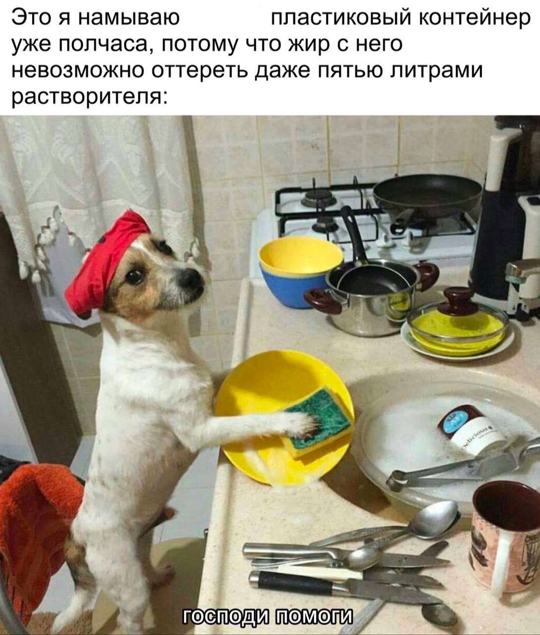 Это я намываю пластиковый контейнер уже полчаса, потому что жир с него невозможно оттереть даже пятью литрами растворителя: Poke ПОТ