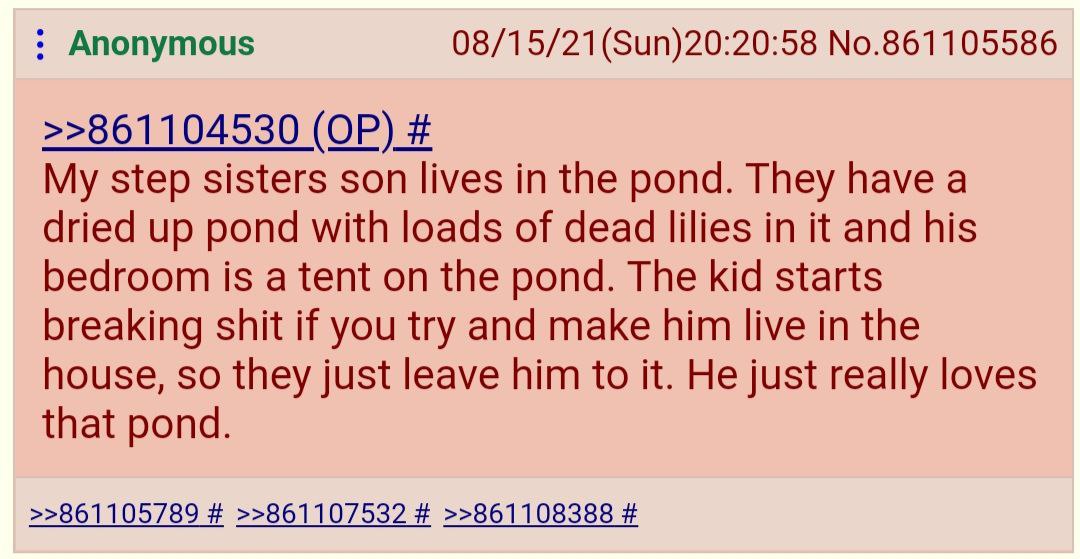 Anonymous 08/15/21(Sun)20:20:58 No.861105586 >>861104530 My step sisters son lives in the pond. They have a dried up pond with loads of dead lilies in it and his bedroom is a tent on the pond. The kid
