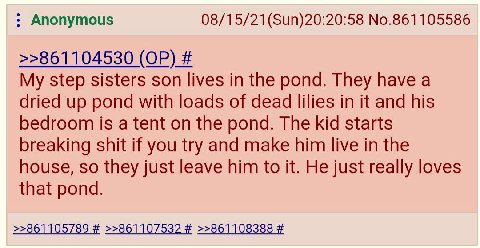 Anonymous 08/15/21(Sun)20:20:58 No.861105586 >>861104530 My step sisters son lives in the pond. They have a dried up pond with loads of dead lilies in it and his bedroom is a tent on the pond. The kid