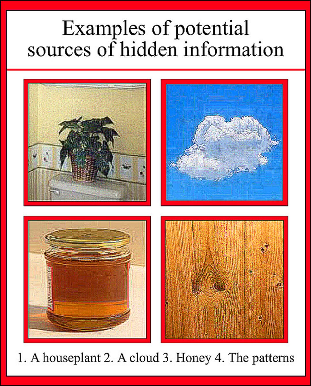 Examples of potential sources of hidden information 1. А houseplant 2. А cloud 3. Honey 4. The patterns