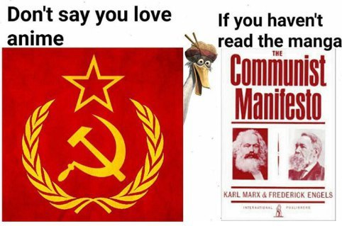 апите Don't say you love If you haven't read the manga
