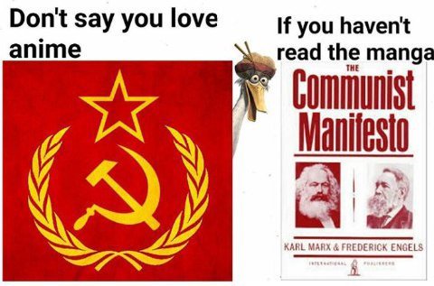 апите Don't say you love If you haven't read the manga