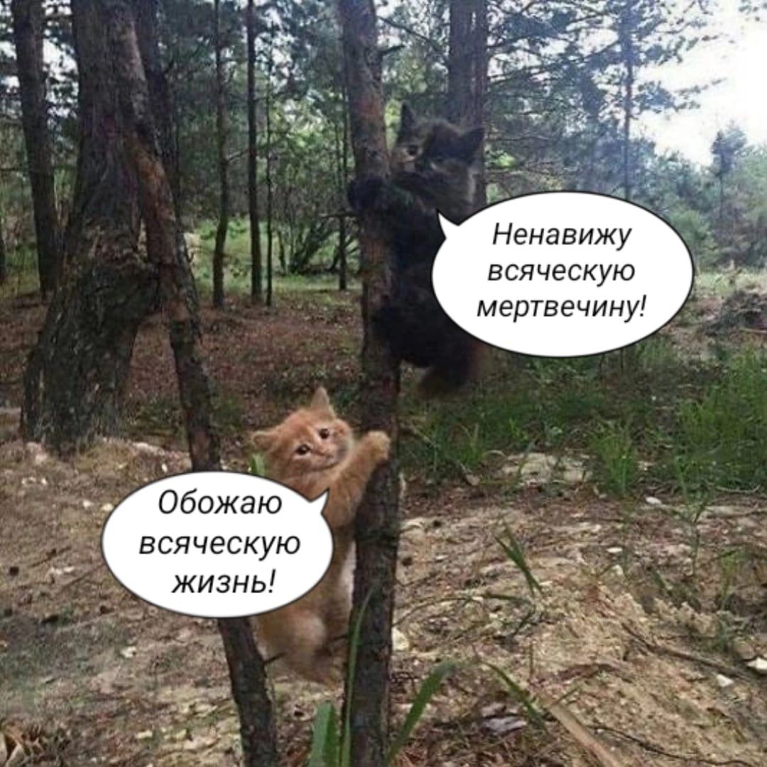 Ненавижу всяческую мертвечину! Обожаю всяческую жизнь! В