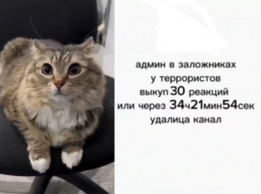 7 админ в заложниках i 2 ‘thes у террористов ай выкуп ЗО реакций cs | удалица канал 1-4 о у террористов