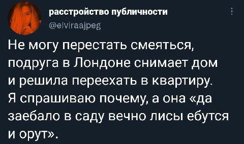 расстройство публичности Не могу перестать смеяться, подруга в Лондоне снимает дом и решила переехать в квартиру. Я спрашиваю почему, а она «да заебало в саду вечно лисы ебутся и орут».