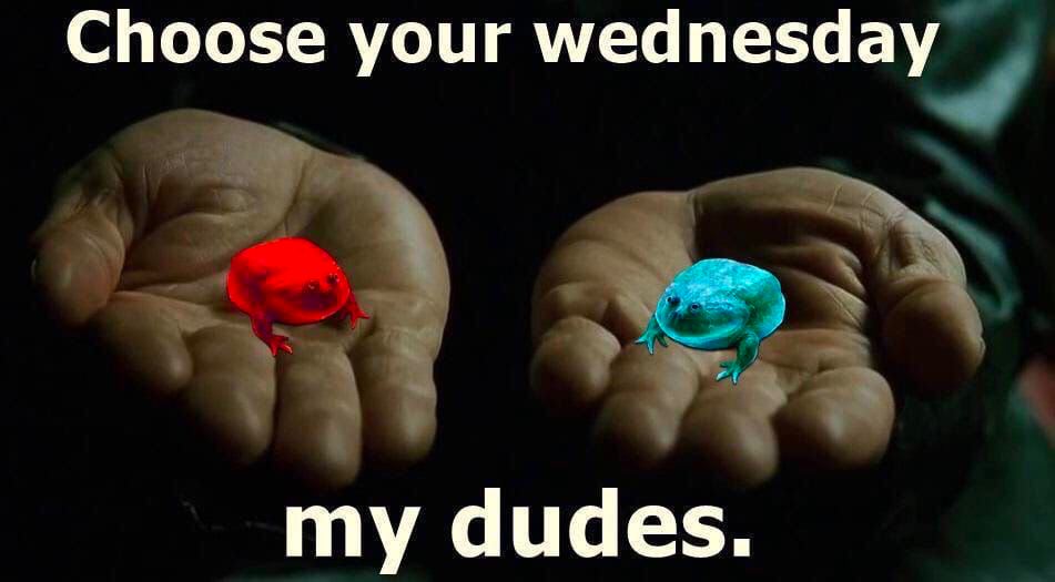 Choose your wednesday my dudes.