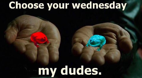 Choose your wednesday my dudes.