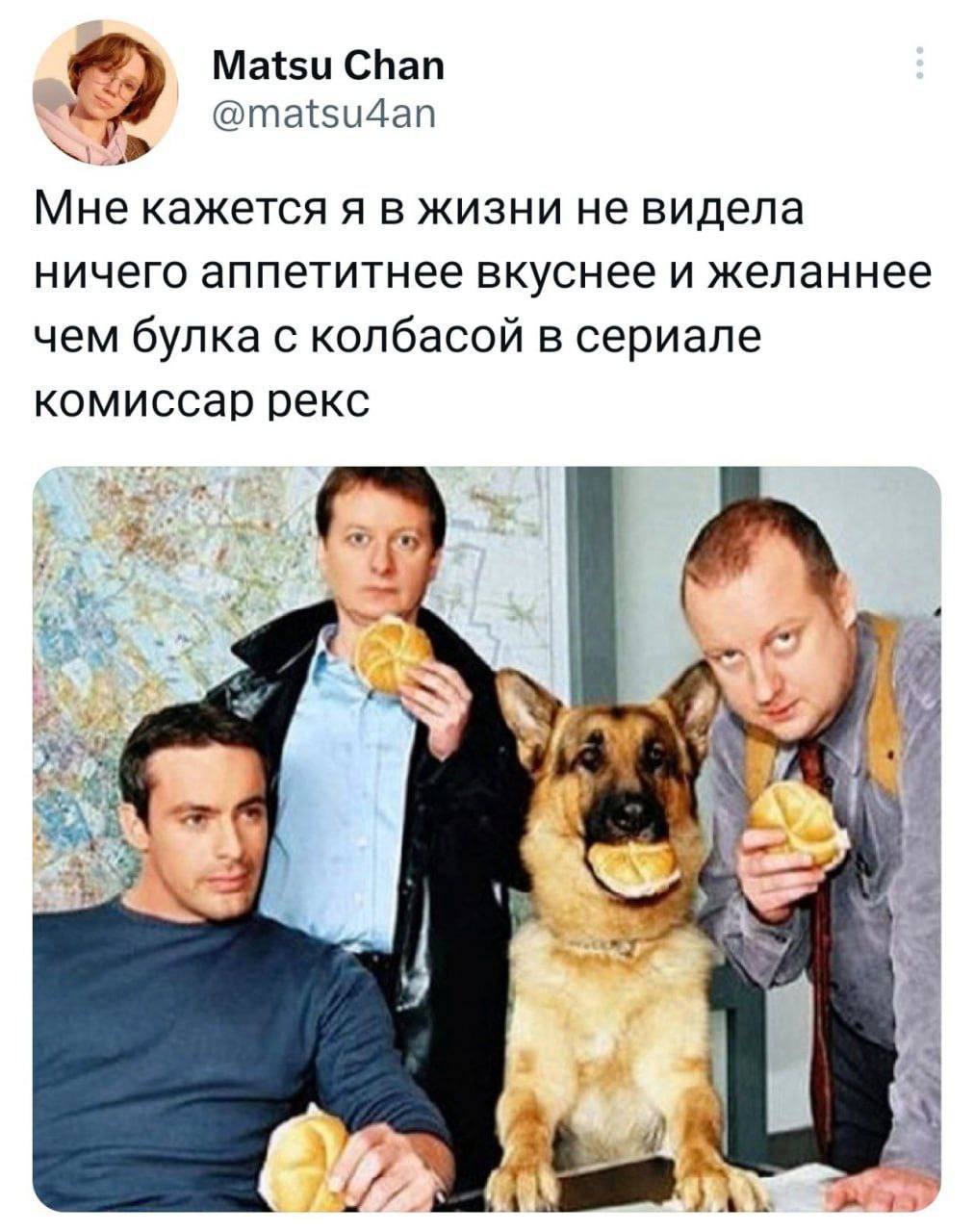 Matsu Chan @matsu4an a Мне кажется я в жизни не видела ничего аппетитнее вкуснее и желаннее чем булка с колбасой в сериале комиссар рекс