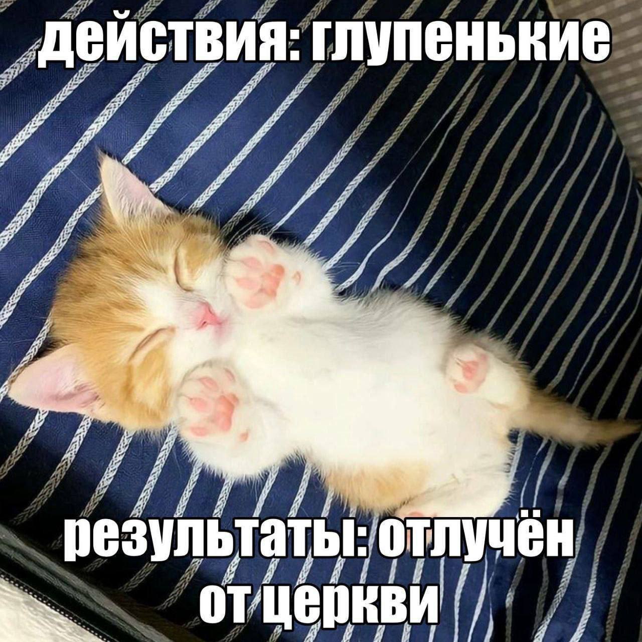 деиствия: глупенькие a 4 я a a 3 я 2 Я A A я результаты: отлучен 7 2
