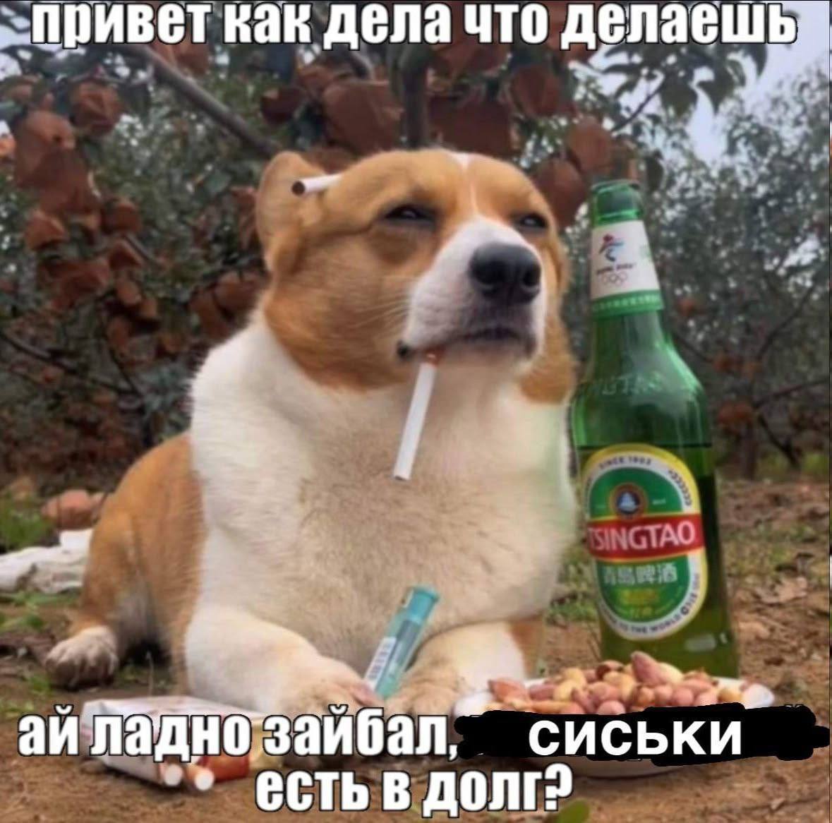 Kak дела что делаеш i ладно сиськи есть В ДОЛГ2