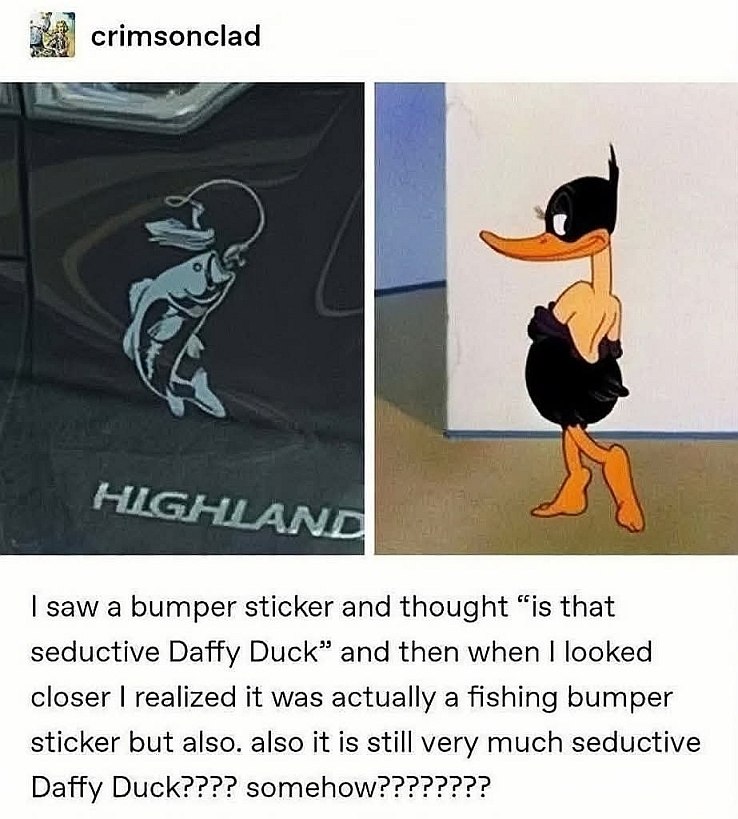 crimsonclad rol [Я у (С saw а bumper sticker and thought “is that seductive Daffy Duck” and then when looked closer realized it was actually a fishing bumper sticker but also. also it is still very mu