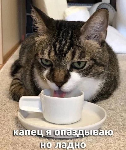 a) a 9 nis TeL опа здыва