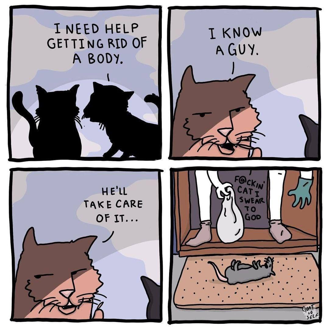 МЕЕО HELP GETTING RID OF A BODY. HE'LL TAKE CARE OF It... у: 2