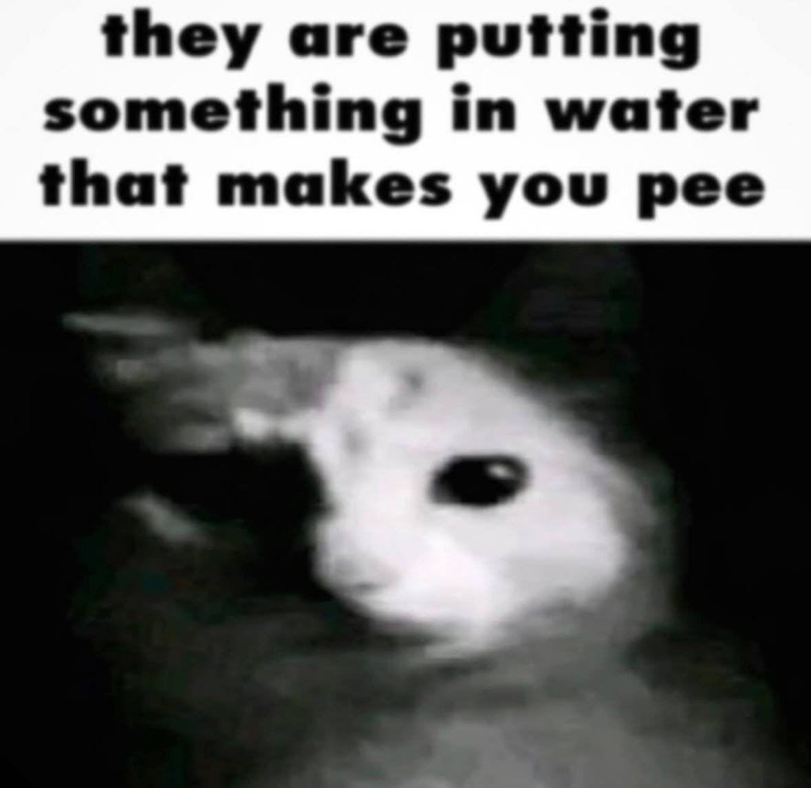 they are putting something in water that makes you pee