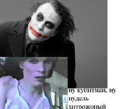 купитман, пудель ХИТРОЖОПЫИ