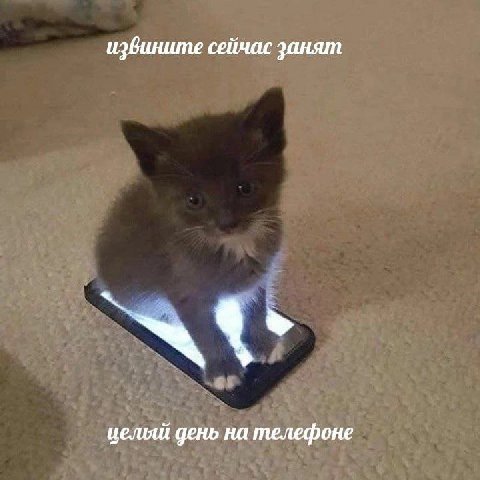 извините сейчас занят целый день на телефоне
