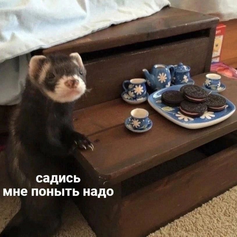 4 садись мне поныть надо