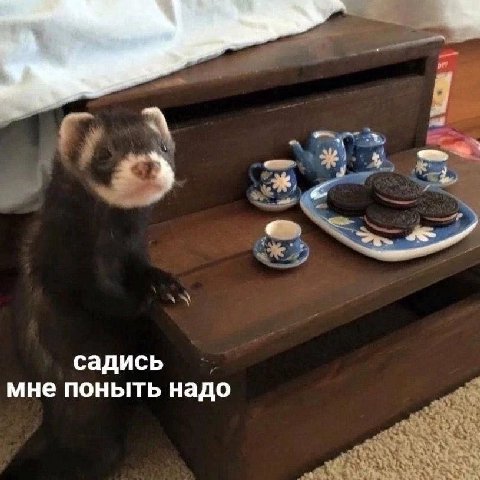 4 садись мне поныть надо