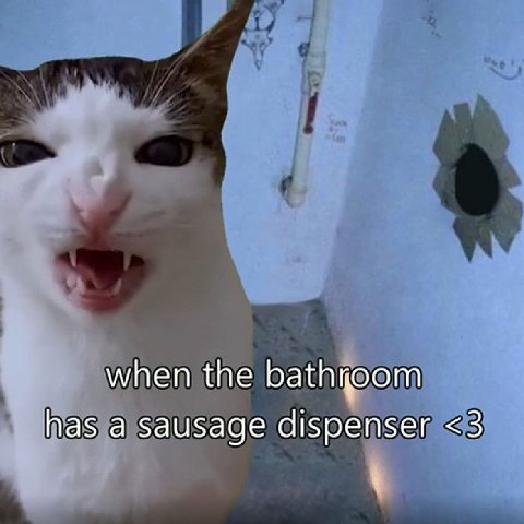 Жизненно, из жизни