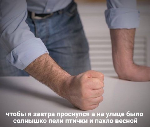 чтобы я завтра проснулся а на улице было солнышко пели птички и пахло весной