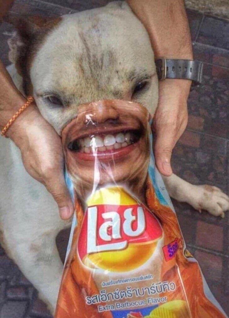 fab