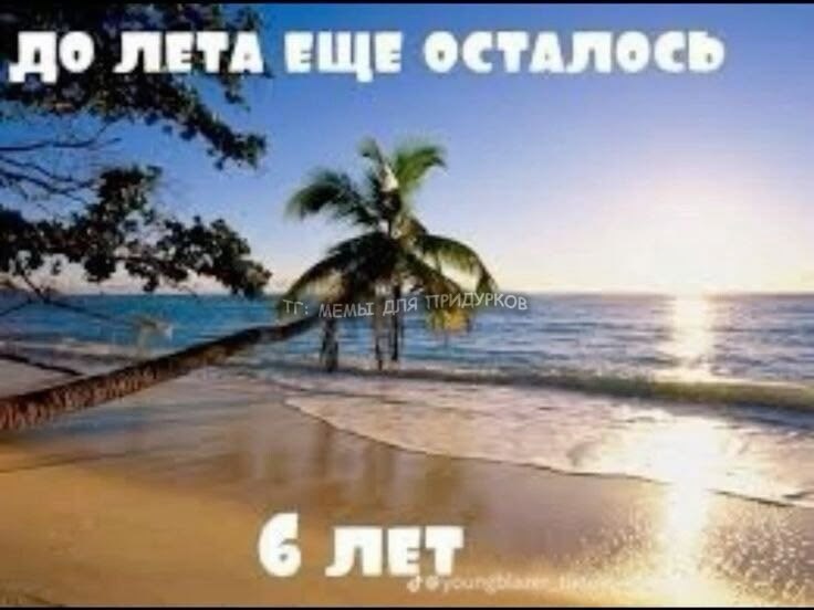 ДО ЛЕТА ЕЩЕ ОСТАЛОСЬ 6 ЛЕТ