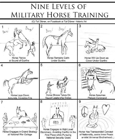 Tal Dibner, on Facebook at Tal Dibner Historic Art 2 3 1 и Bing Валя Bans 2 $7 А Horse Panics Horse Remains Calm Horse Will Lie Down as at Sound of Gunfire Under Gunfire Cover Under Gunfire 4 5 6 LES 