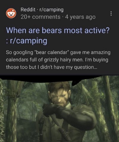 Reddit r/camping 20+ comments 4 years ago When are bears most active? So googling "bear calendar" gave me amazing calendars full of grizzly hairy men. buying those too but didn't have my if