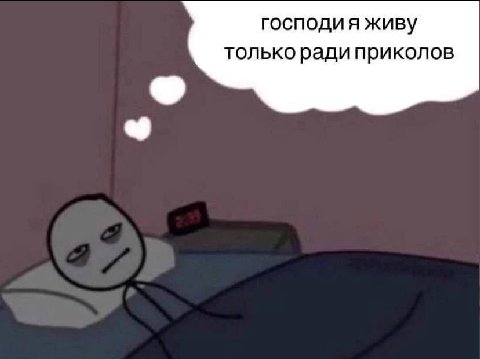 господи я живу только ради приколов