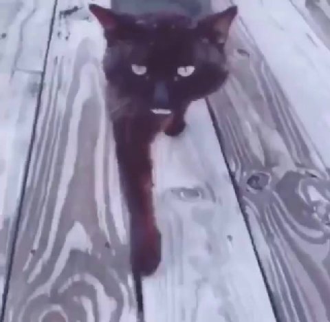 мем