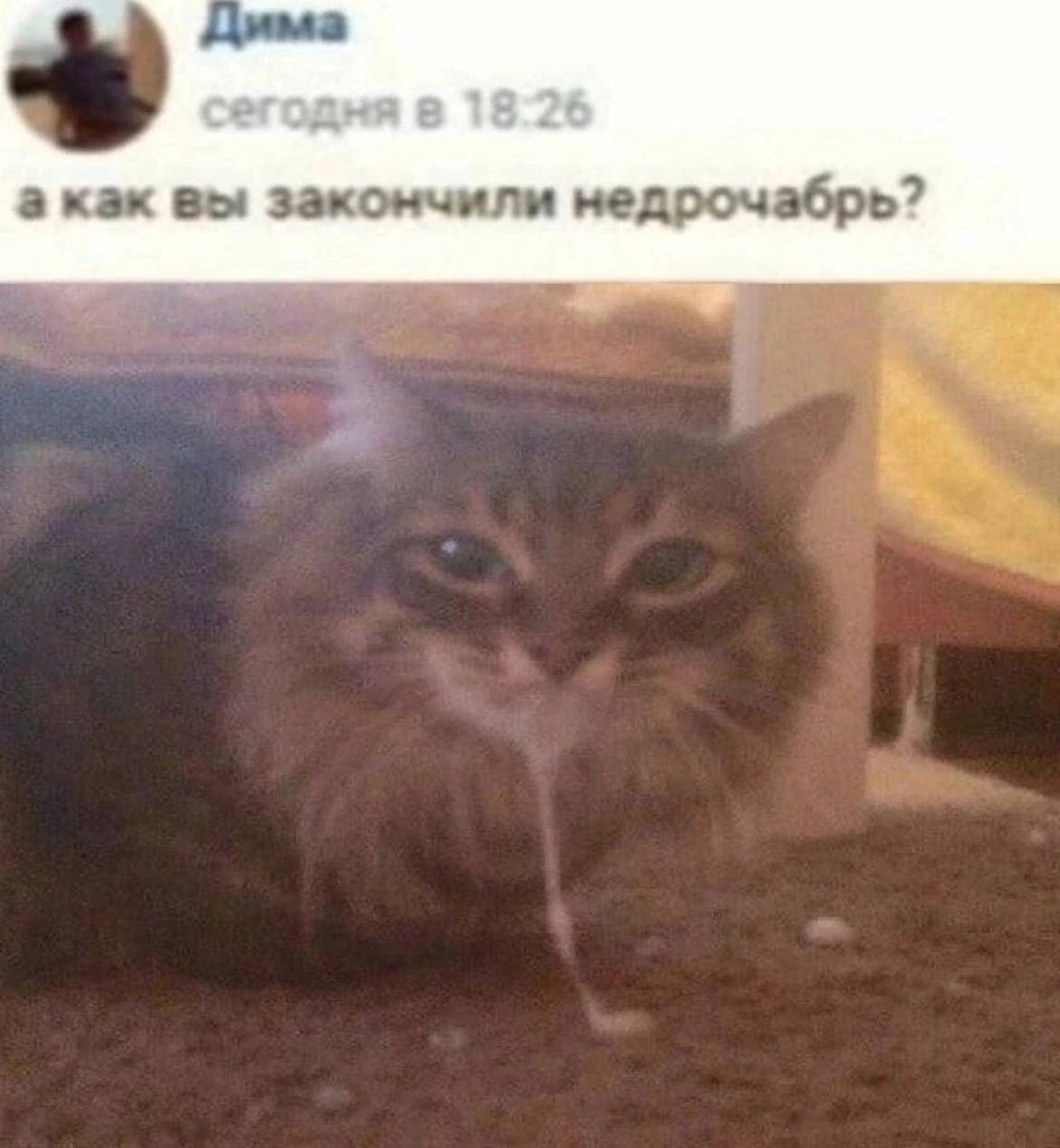 а как вы закончили недрочабрь?