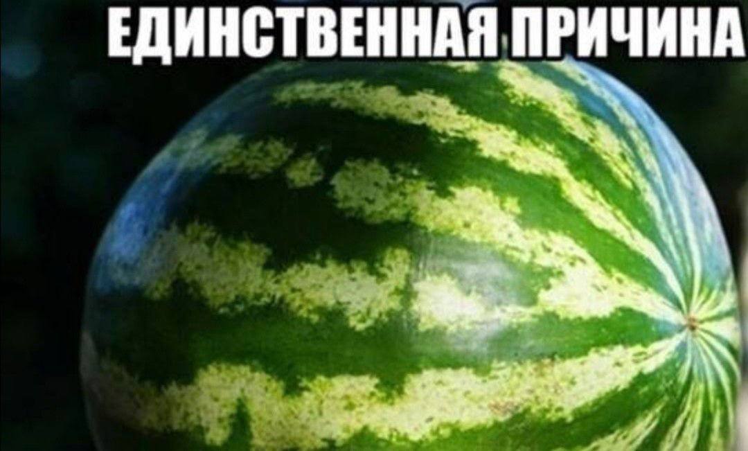 ЕДИНСТВЕННАЯ ПРИЧИНА