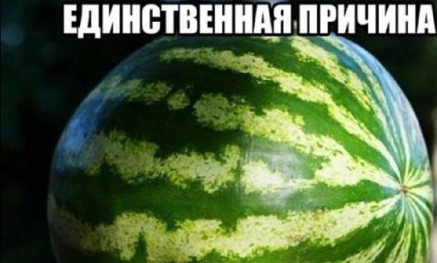 ЕДИНСТВЕННАЯ ПРИЧИНА