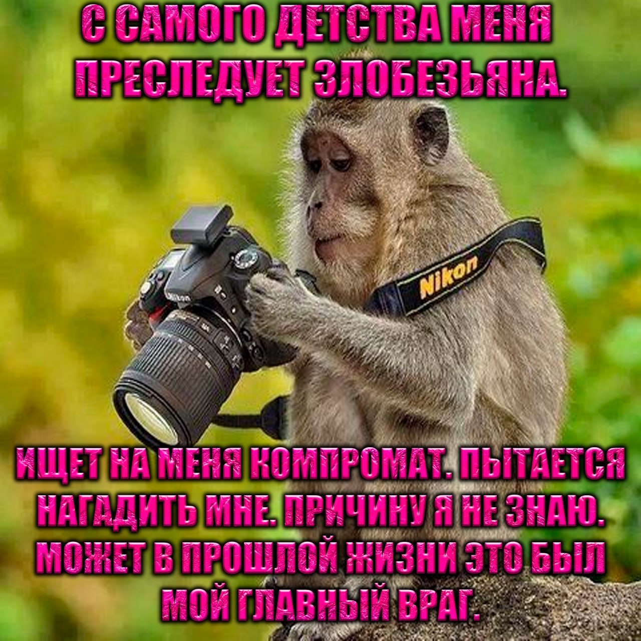 7 7 3 a и кой у ANE