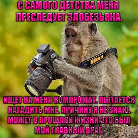 7 7 3 a и кой у ANE