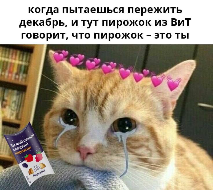 когда пытаешься пережить декабрь, и тут пирожок из BUT говорит, что пирожок это ты an 4 an a a а