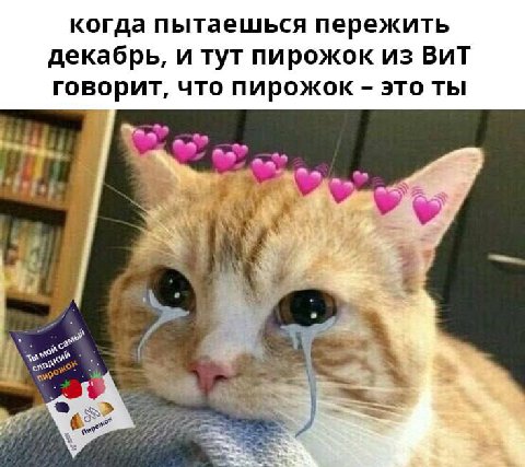 когда пытаешься пережить декабрь, и тут пирожок из BUT говорит, что пирожок это ты an 4 an a a а