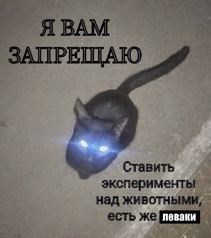 ЗАПРЕЩАЮ Ставить эксперименты над животными, есть же