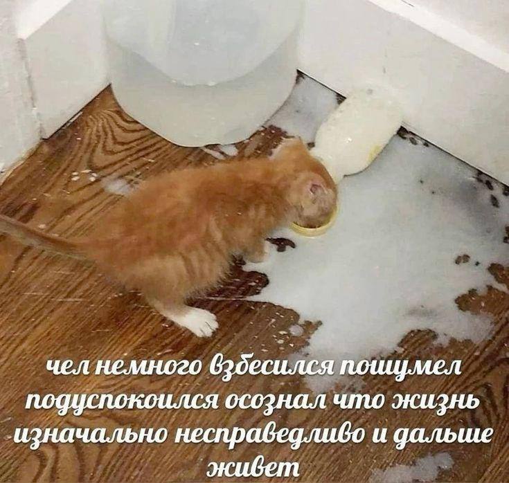 чел немного 620¢ Я ПО подуспокоился осознал что жизнь изначально несправедливо и дальше