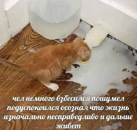 чел немного 620¢ Я ПО подуспокоился осознал что жизнь изначально несправедливо и дальше