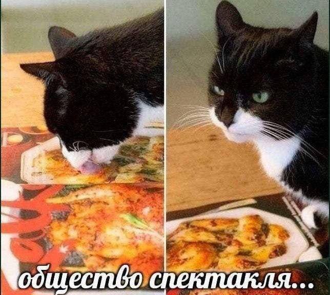 1 В a Чодшество, спектакля...